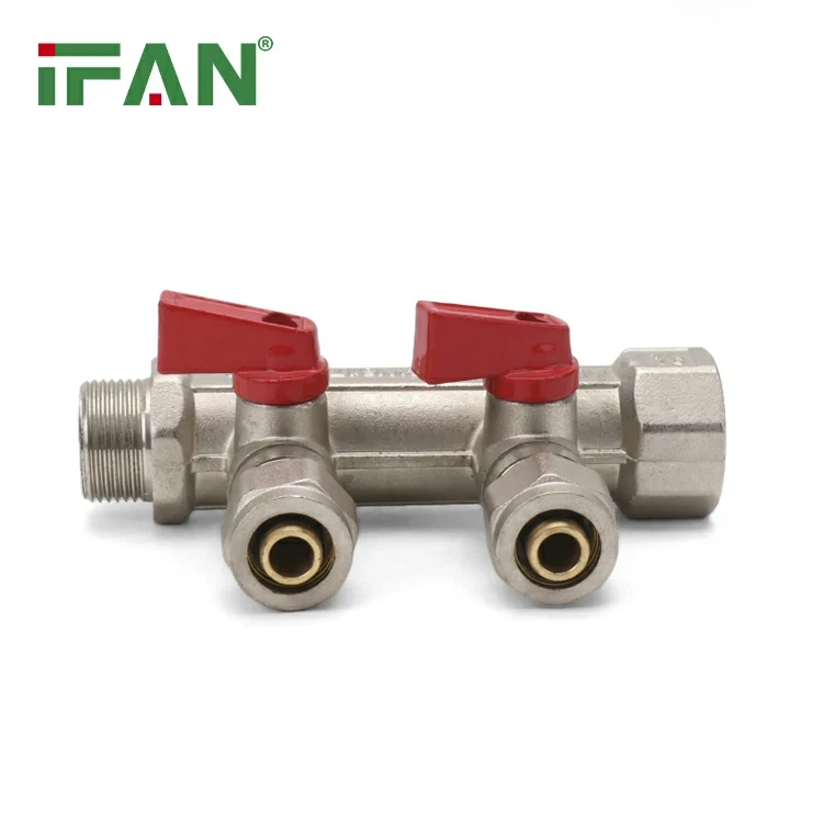 Brass Manifold (4)